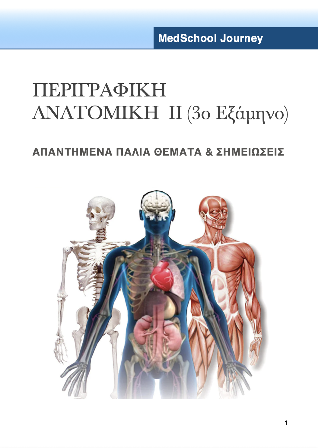 Περιγραφική Ανατομική ΙΙ